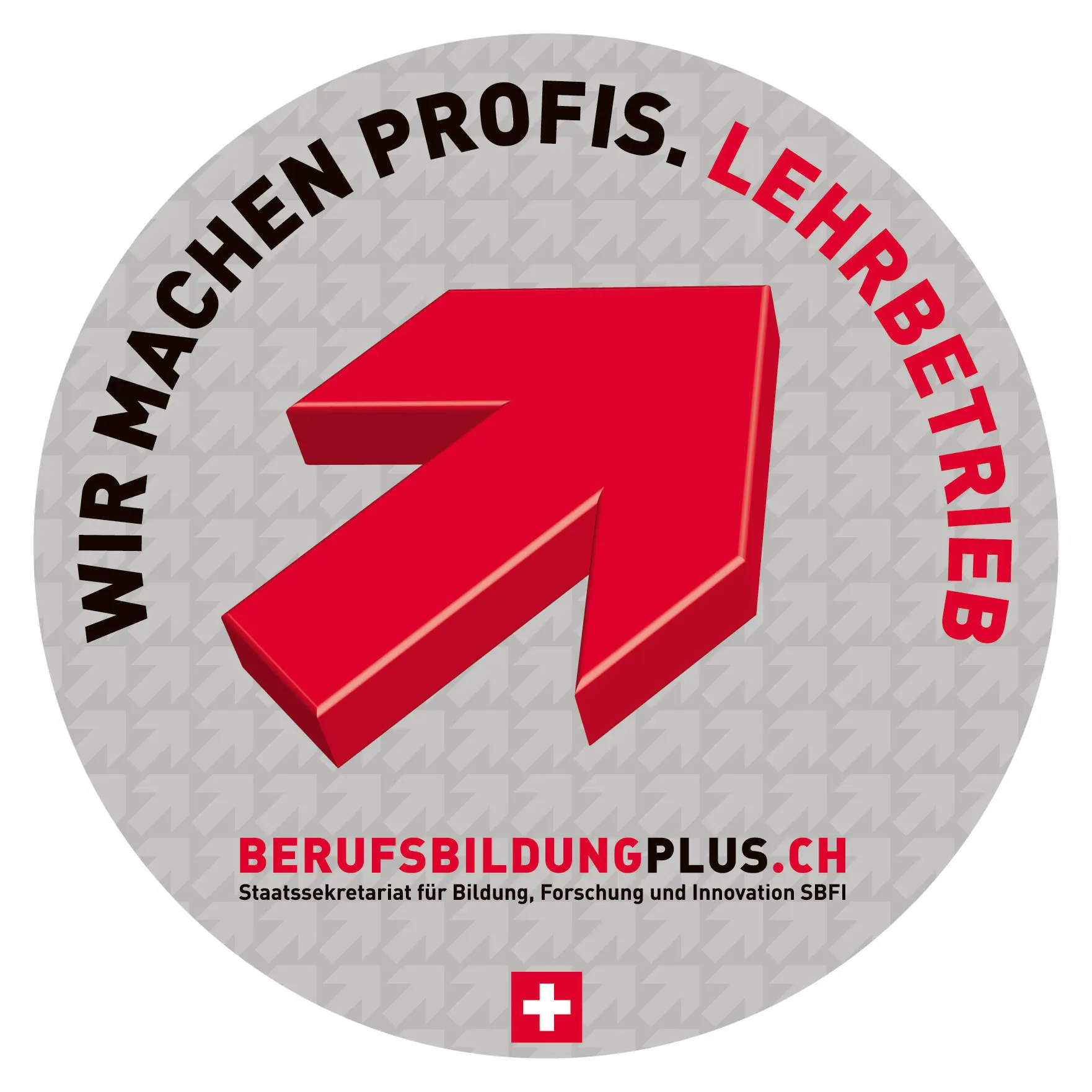 Lehrlingsausbildung – RuossTech AG